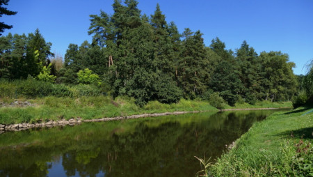 23.reka